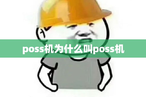 poss机为什么叫poss机