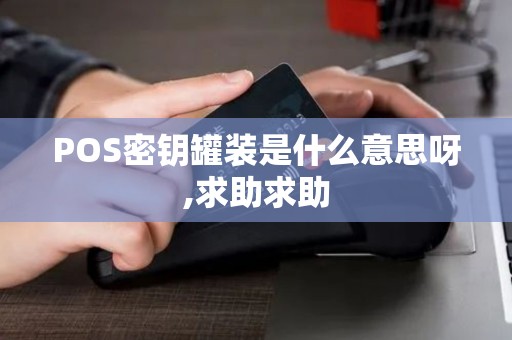 POS密钥罐装是什么意思呀,求助求助