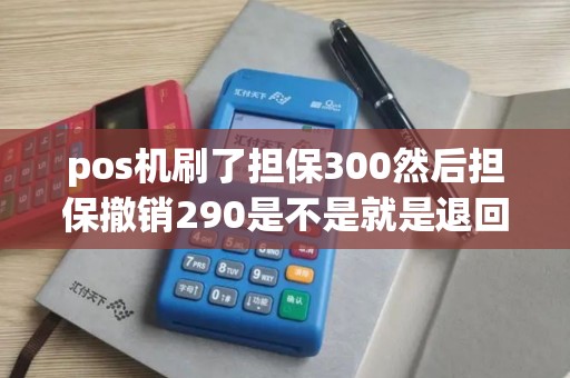 pos机刷了担保300然后担保撤销290是不是就是退回290了