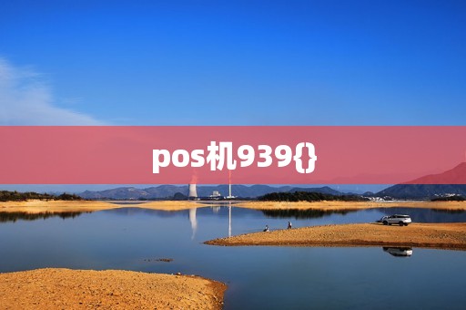 pos机939{}