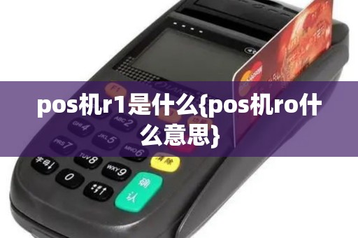 pos机r1是什么{pos机ro什么意思}