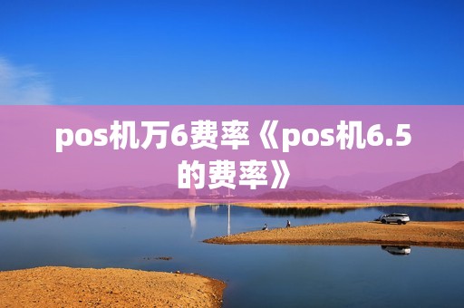 pos机万6费率《pos机6.5的费率》