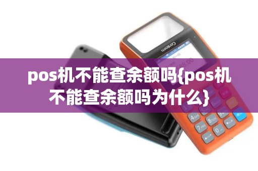 pos机不能查余额吗{pos机不能查余额吗为什么}