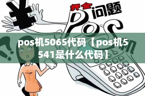pos机5065代码【pos机5541是什么代码】