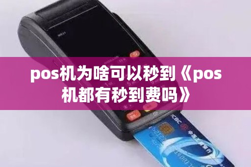 pos机为啥可以秒到《pos机都有秒到费吗》