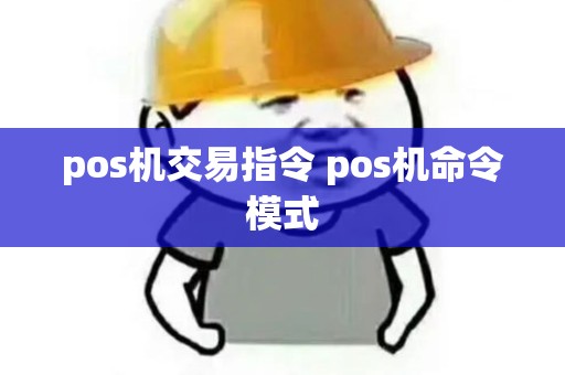 pos机交易指令 pos机命令模式