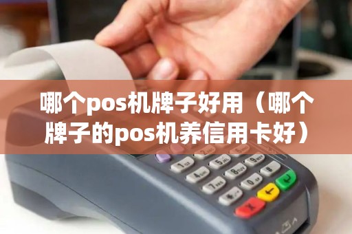 哪个pos机牌子好用（哪个牌子的pos机养信用卡好）