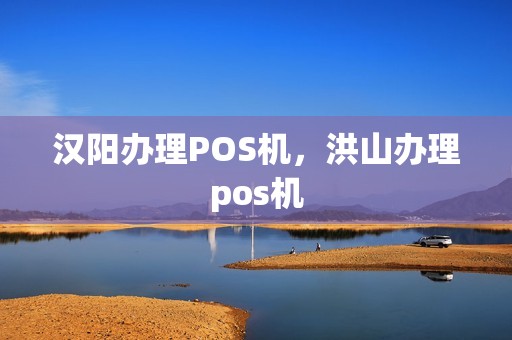 汉阳办理POS机，洪山办理pos机