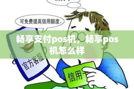 畅享支付pos机，畅享pos机怎么样