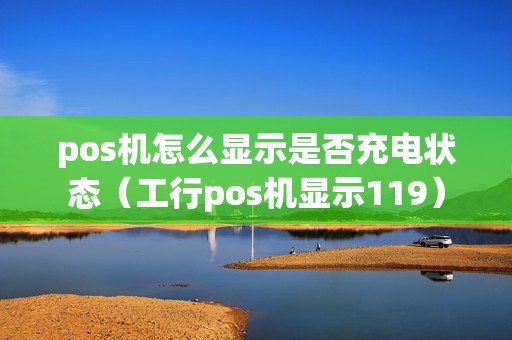 pos机怎么显示是否充电状态（工行pos机显示119）