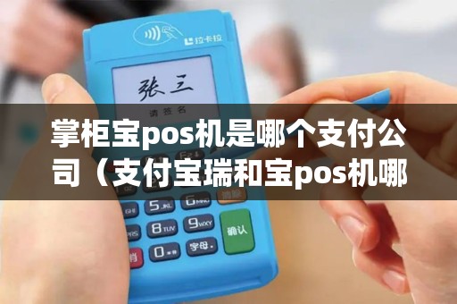 掌柜宝pos机是哪个支付公司（支付宝瑞和宝pos机哪个好）