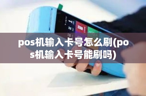 pos机输入卡号怎么刷(pos机输入卡号能刷吗)