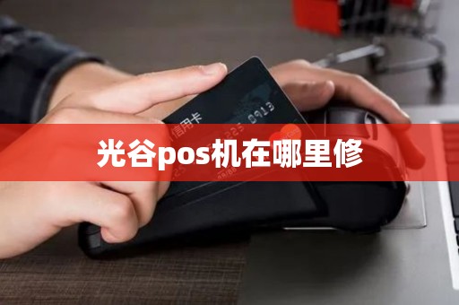 光谷pos机在哪里修