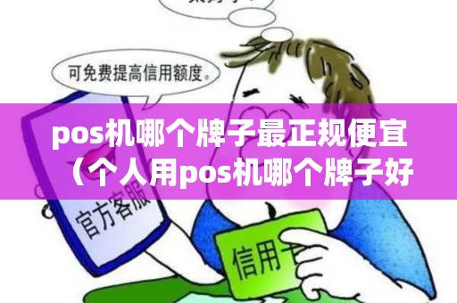 pos机哪个牌子最正规便宜（个人用pos机哪个牌子好）