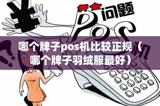 哪个牌子pos机比较正规（哪个牌子羽绒服最好）