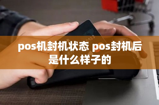 pos机封机状态 pos封机后是什么样子的
