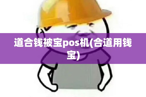 道合钱被宝pos机(合道用钱宝)