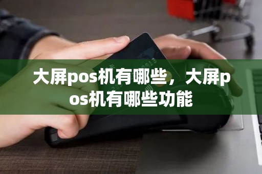 大屏pos机有哪些，大屏pos机有哪些功能