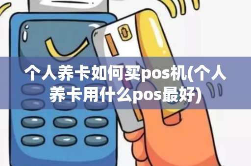 个人养卡如何买pos机(个人养卡用什么pos最好)