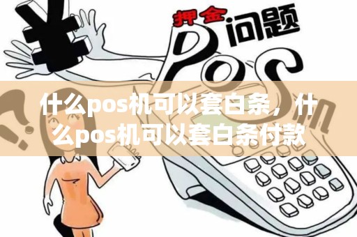 什么pos机可以套白条，什么pos机可以套白条付款