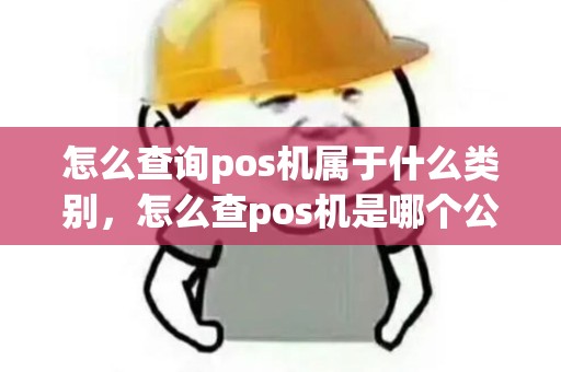 怎么查询pos机属于什么类别，怎么查pos机是哪个公司的
