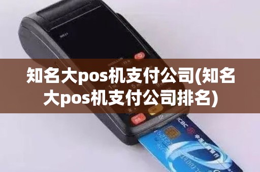 知名大pos机支付公司(知名大pos机支付公司排名)