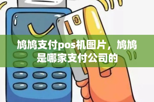鸠鸠支付pos机图片，鸠鸠是哪家支付公司的