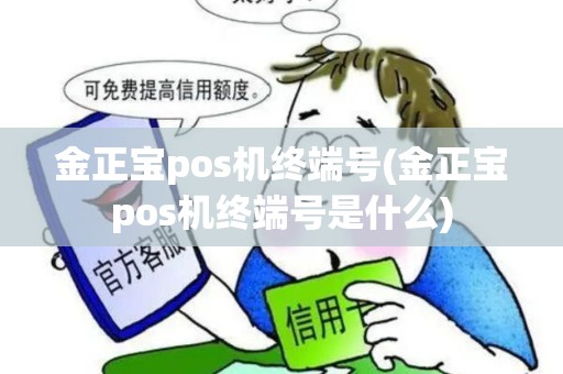 金正宝pos机终端号(金正宝pos机终端号是什么)