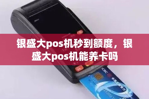 银盛大pos机秒到额度，银盛大pos机能养卡吗