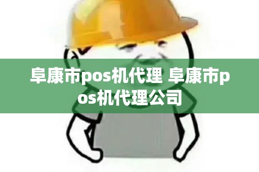阜康市pos机代理 阜康市pos机代理公司