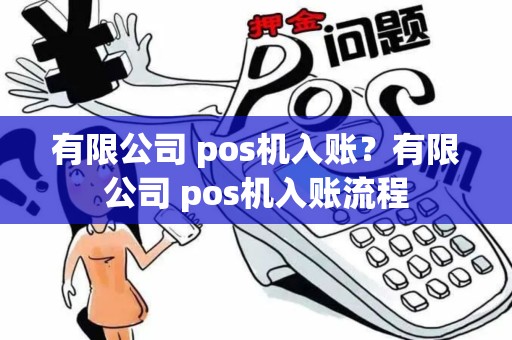 有限公司 pos机入账？有限公司 pos机入账流程