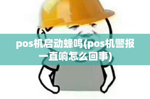 pos机启动蜂鸣(pos机警报一直响怎么回事)