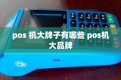 pos 机大牌子有哪些 pos机大品牌