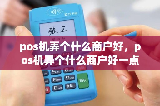 pos机弄个什么商户好，pos机弄个什么商户好一点