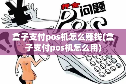 盒子支付pos机怎么赚钱(盒子支付pos机怎么用)