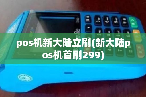 pos机新大陆立刷(新大陆pos机首刷299)
