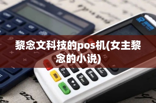 黎念文科技的pos机(女主黎念的小说)