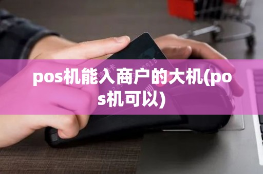 pos机能入商户的大机(pos机可以)