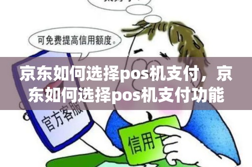 京东如何选择pos机支付，京东如何选择pos机支付功能