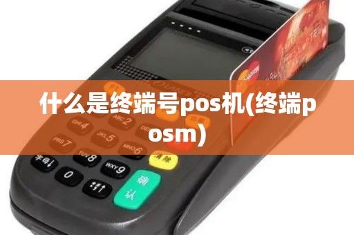 什么是终端号pos机(终端posm)