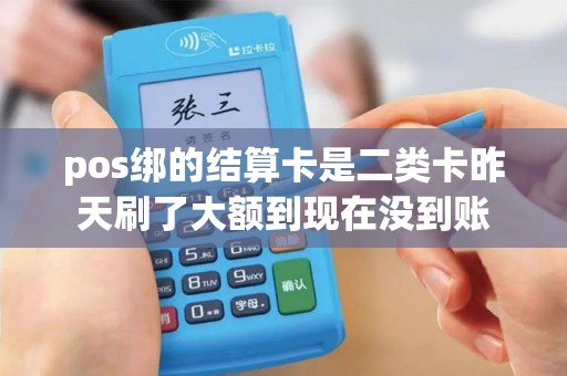 pos绑的结算卡是二类卡昨天刷了大额到现在没到账