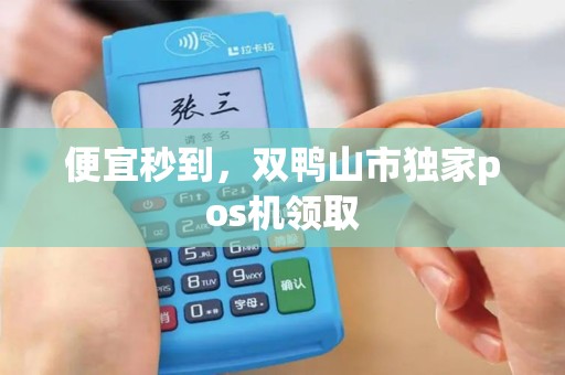 便宜秒到，双鸭山市独家pos机领取