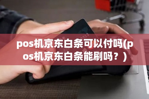 pos机京东白条可以付吗(pos机京东白条能刷吗？)